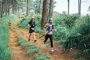 BIB: 
                            <button type="button" onclick="openModal(25656106)" class="btn btn-primary btn-sm float-right btn-popup" data-toggle="modal" data-target=".modal-high-quality">
                        <i class="fas fa-shopping-cart"></i> Add to Cart
                    </button>
                                            <button type="button" onclick="isThisMe(25656106, true)" class="btn btn-success btn-sm float-right btn-popup btn-isme hidden" data-toggle="tooltip" data-placement="bottom" title="นี่คือรูปของคุณใช่ไหม คลิกที่นี่เพื่อเอาเข้าอัลบั้ม">
                        <i class="fas fa-plus"></i> Add to album
                    </button>
                    <button type="button" onclick="isThisMe(25656106, false)" class="btn btn-warning btn-sm float-right btn-popup btn-isnotme hidden">
                        <i class="fas fa-ban"></i> Remove from album
                    </button>